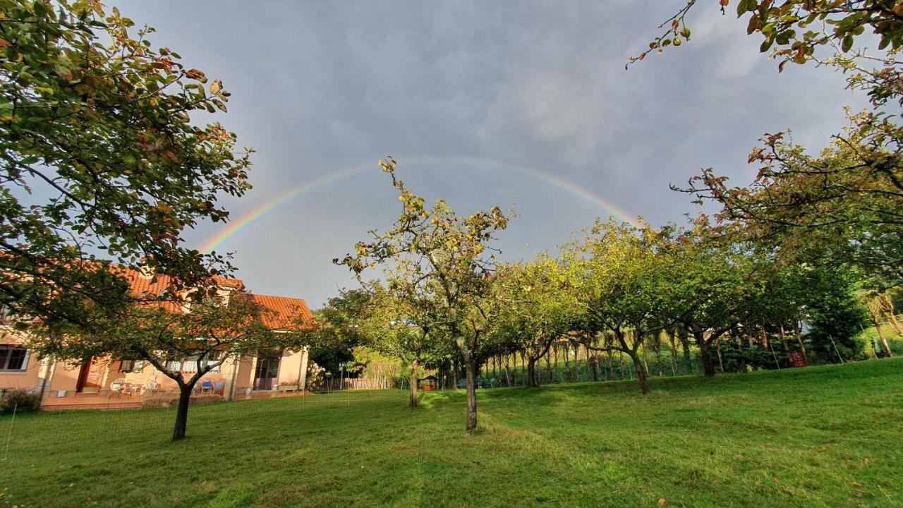 Hotel 3 Alpacas La Campa Zewnętrze zdjęcie